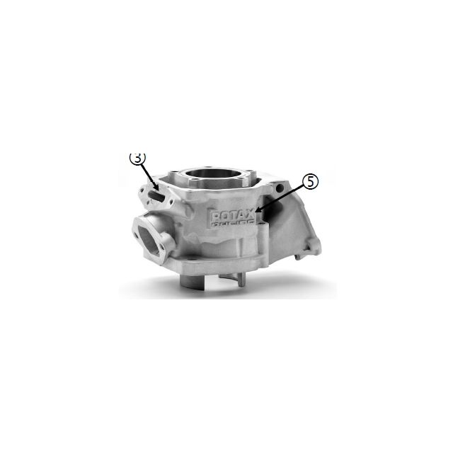 Zylinder Rotax Max evo II  